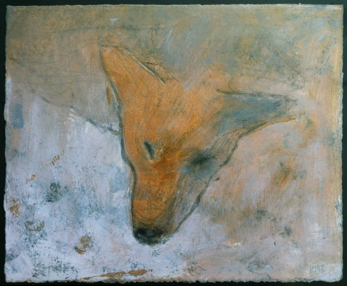 Head of a dog